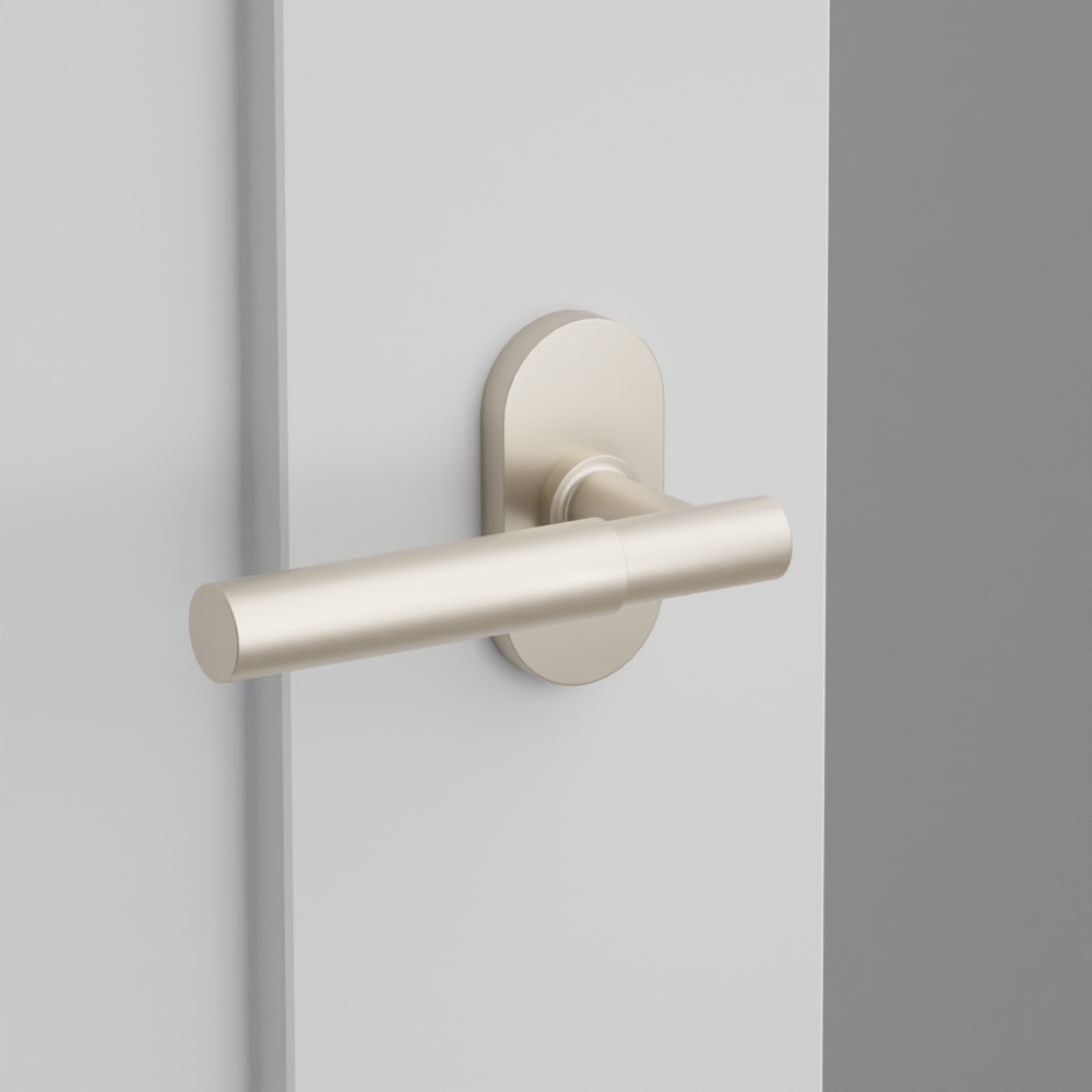 Exterior render - cgrender/InteriorPassagePrivacyDummy/default/h.lever_MYL.finish_US15/r.rosette_dummy_5803.finish_US15.png